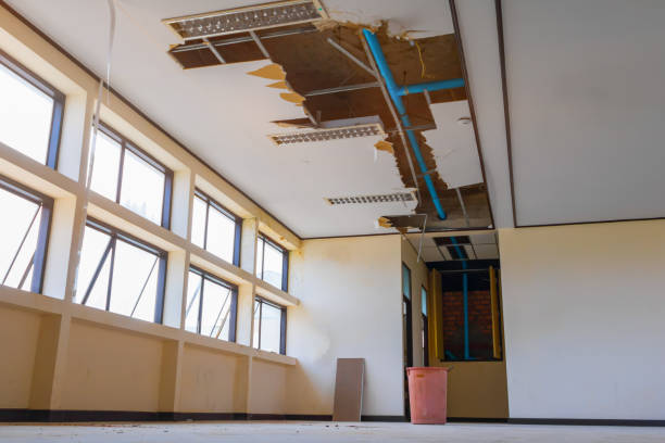 Best Water damage contractors near me  in Columbus Junction, IA