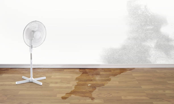 Best 24-hour water damage restoration  in Columbus Junction, IA