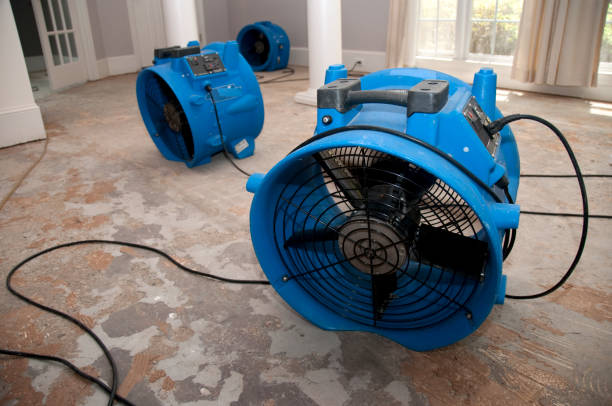 Best Water damage restoration near me  in Columbus Junction, IA
