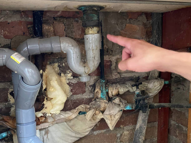 Best Residential water damage restoration  in Columbus Junction, IA
