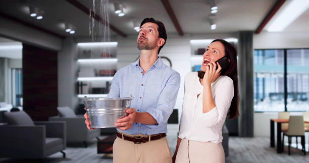 Best Ceiling water damage repair  in Columbus Junction, IA