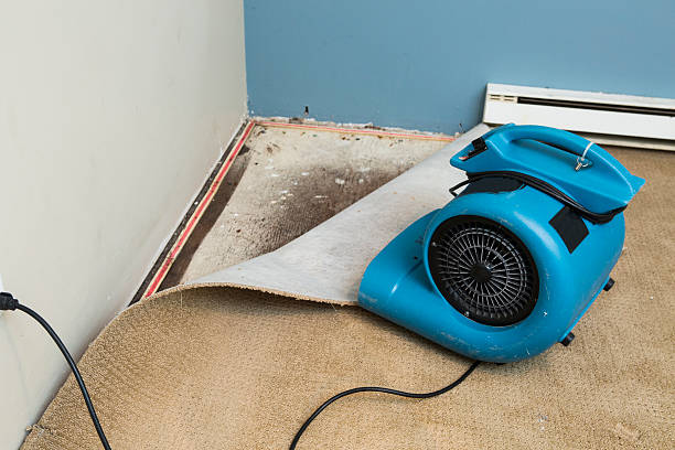 Best 24/7 water damage repair  in Columbus Junction, IA